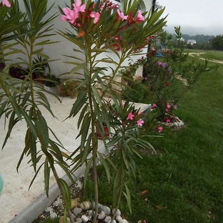 קורניצה Apartments Zegarac House מראה חיצוני תמונה