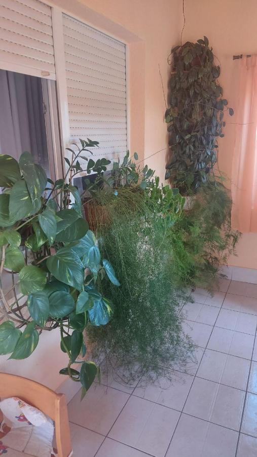 קורניצה Apartments Zegarac House מראה חיצוני תמונה